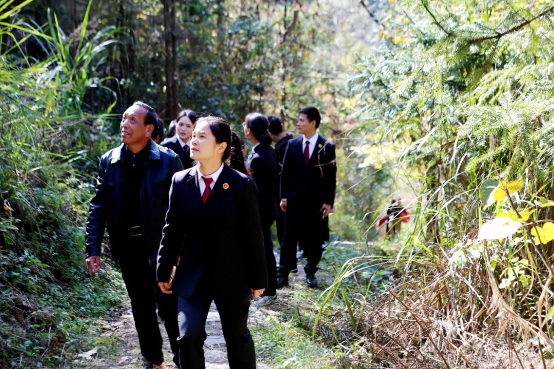 质效履行法律监督职责“浙”里看见美丽中国不朽情缘mg深入学习贯彻习法治思想 高(图2)