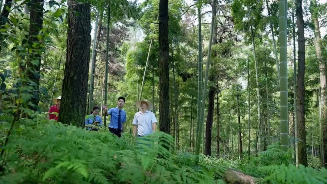 质效履行法律监督职责“浙”里看见美丽中国不朽情缘mg深入学习贯彻习法治思想 高(图8)