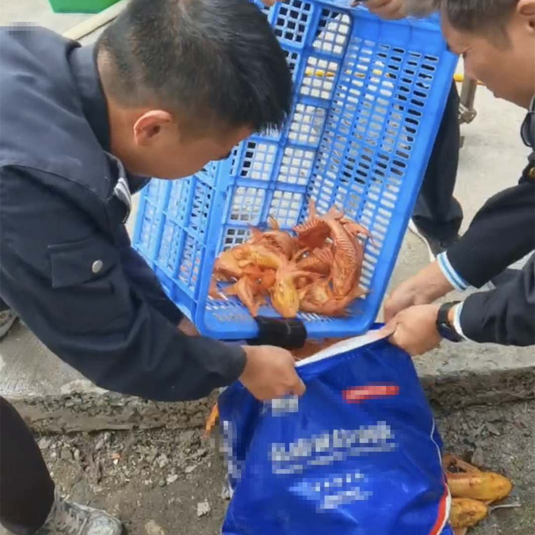 质效履行法律监督职责“浙”里看见美丽中国不朽情缘mg深入学习贯彻习法治思想 高(图10)