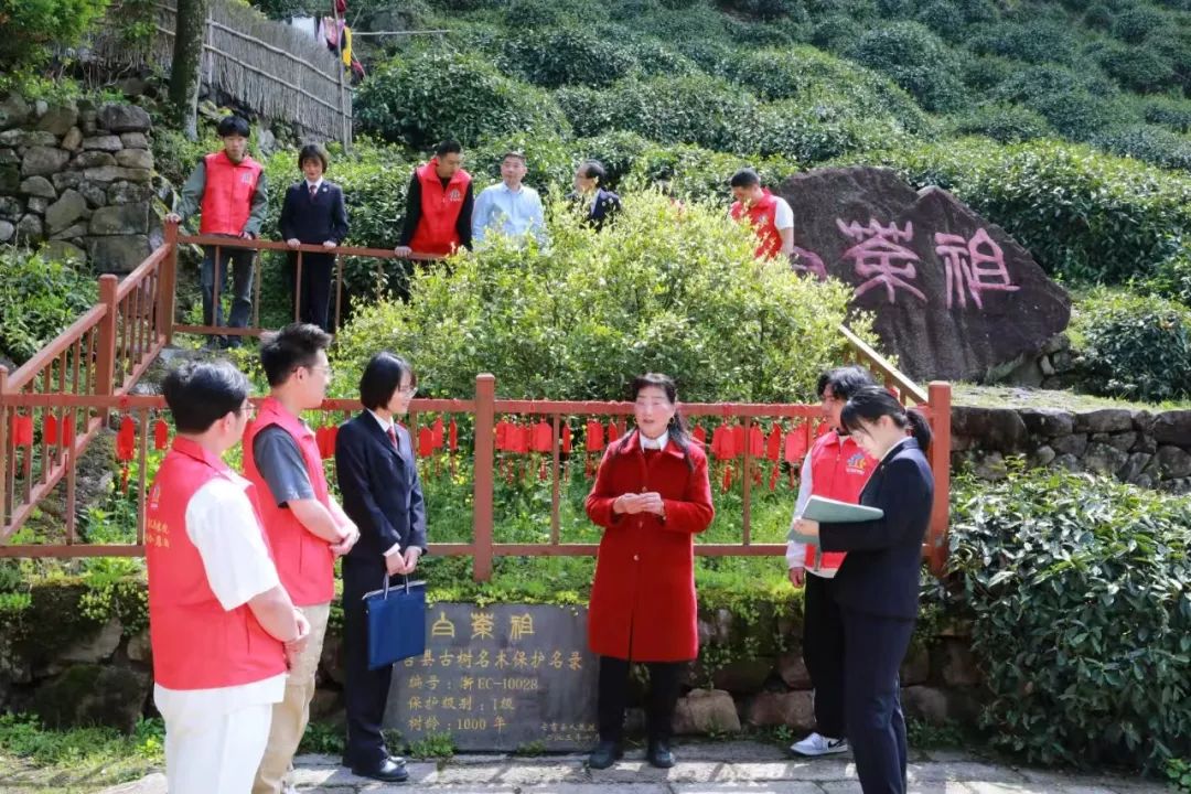质效履行法律监督职责“浙”里看见美丽中国不朽情缘mg深入学习贯彻习法治思想 高(图11)